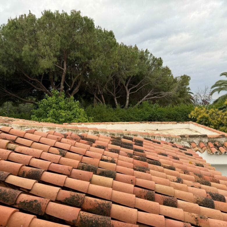 FOR SALE 🏡 Villa for Full Renovation on a 1,354 m² Private Plot in Town – Marbella 🇪🇸
