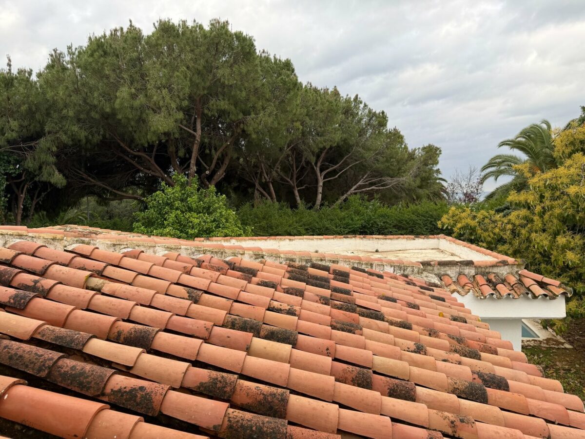 FOR SALE 🏡 Villa for Full Renovation on a 1,354 m² Private Plot in Town – Marbella 🇪🇸