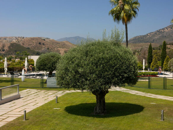 FOR SALE 🏡 Three-Bedroom Garden Apartment with Large Terrace in a Golf Resort – Arrayanes Golf, Benahavís 🇪🇸