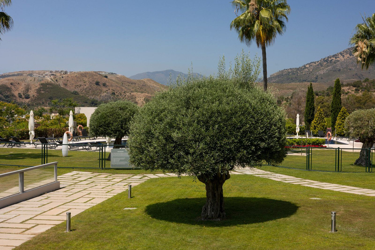 FOR SALE 🏡 Three-Bedroom Garden Apartment with Large Terrace in a Golf Resort – Arrayanes Golf, Benahavís 🇪🇸