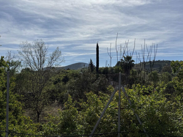 FOR SALE 🏡 Country Villa with Private Pool on 4,500 m² – Coín 🇪🇸