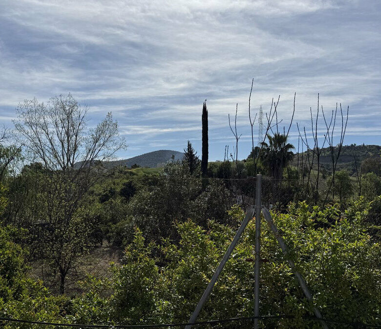 FOR SALE 🏡 Country Villa with Private Pool on 4,500 m² – Coín 🇪🇸