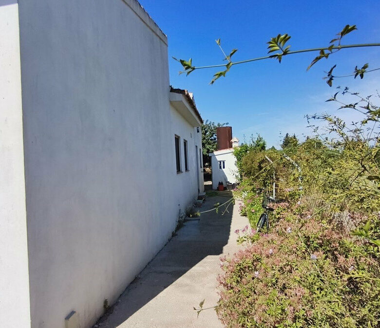 FOR SALE 🏡 Rustic Finca with Pool and Rural Tourism Licence on 3,000 m² – Alhaurín el Grande 🇪🇸