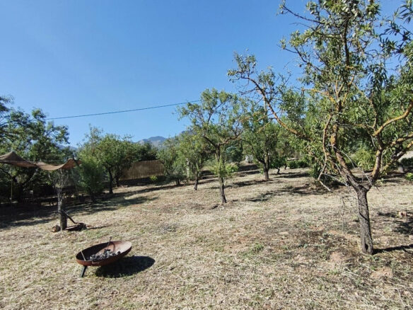 FOR SALE 🏡 Rustic Finca with Pool and Rural Tourism Licence on 3,000 m² – Alhaurín el Grande 🇪🇸