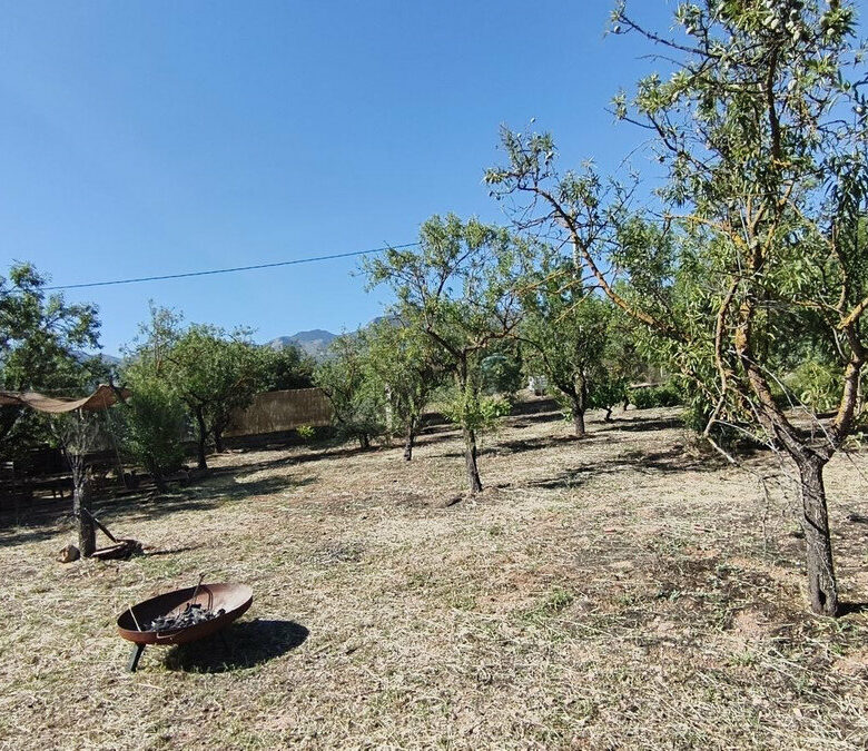 FOR SALE 🏡 Rustic Finca with Pool and Rural Tourism Licence on 3,000 m² – Alhaurín el Grande 🇪🇸