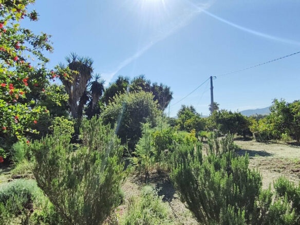 FOR SALE 🏡 Rustic Finca with Pool and Rural Tourism Licence on 3,000 m² – Alhaurín el Grande 🇪🇸