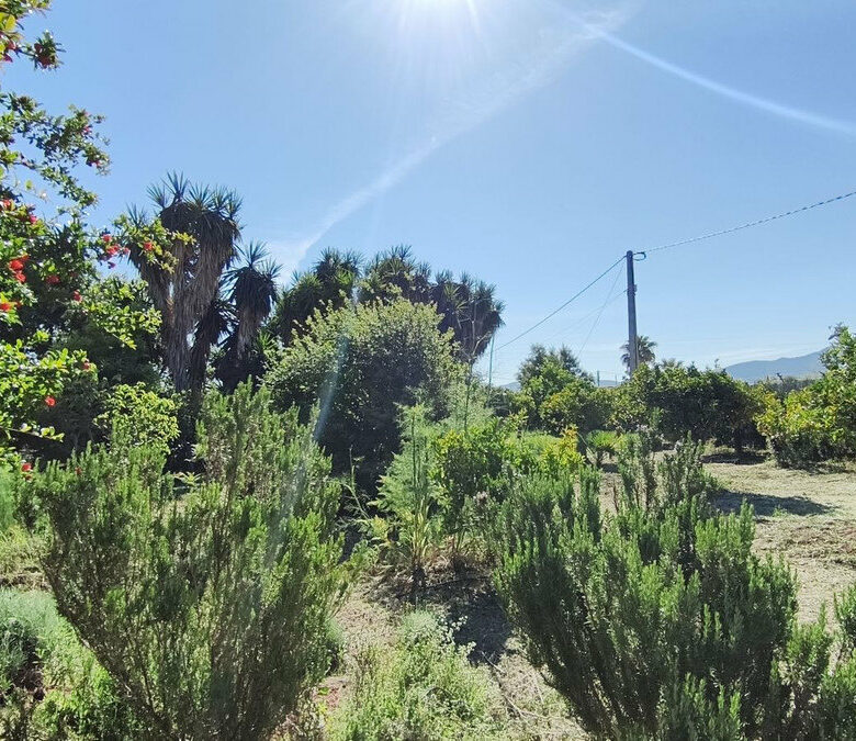 FOR SALE 🏡 Rustic Finca with Pool and Rural Tourism Licence on 3,000 m² – Alhaurín el Grande 🇪🇸