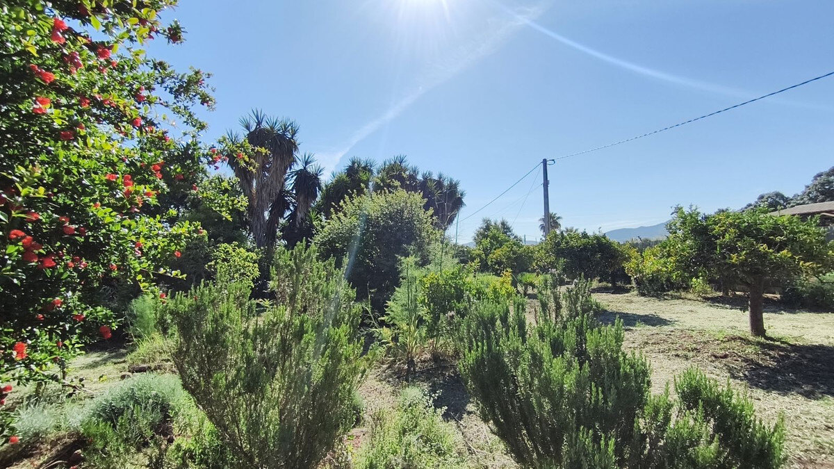 FOR SALE 🏡 Rustic Finca with Pool and Rural Tourism Licence on 3,000 m² – Alhaurín el Grande 🇪🇸