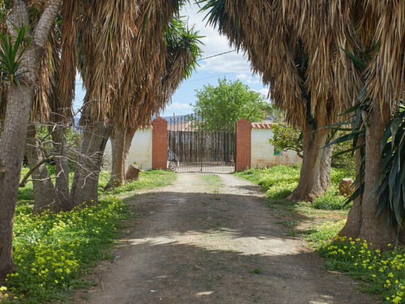 FOR SALE 🏡 Rustic Finca with Pool and Rural Tourism Licence on 3,000 m² – Alhaurín el Grande 🇪🇸