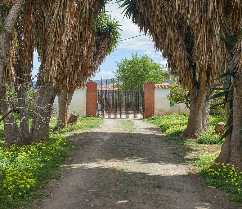 FOR SALE 🏡 Rustic Finca with Pool and Rural Tourism Licence on 3,000 m² – Alhaurín el Grande 🇪🇸