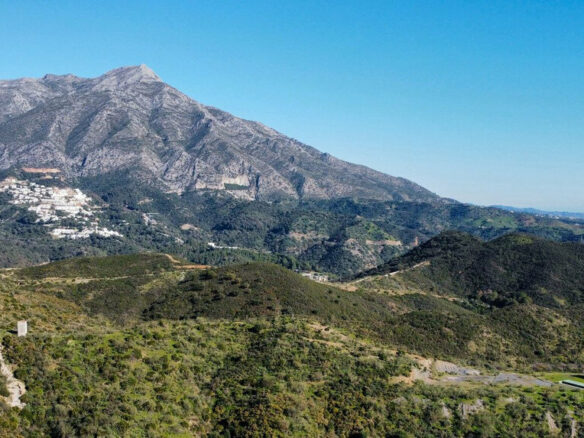 FOR SALE 🏡 South-Facing Sea-View Plot with Building Licence and Villa Project – Real de La Quinta, Benahavís 🇪🇸