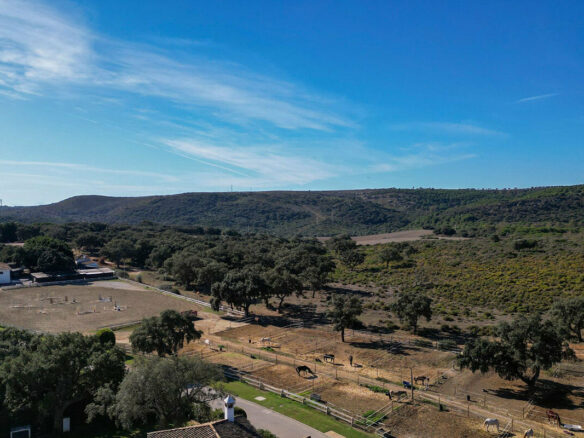 FOR SALE 🏡 Frontline Golf Four-Bedroom Villa with Pool on a Large Plot – San Roque Club, San Roque 🇪🇸