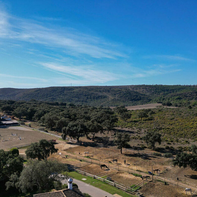 FOR SALE 🏡 Frontline Golf Four-Bedroom Villa with Pool on a Large Plot – San Roque Club, San Roque 🇪🇸